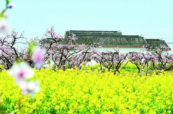 田園綜合體規(guī)劃,田園綜合體規(guī)劃,農(nóng)業(yè)旅游規(guī)劃