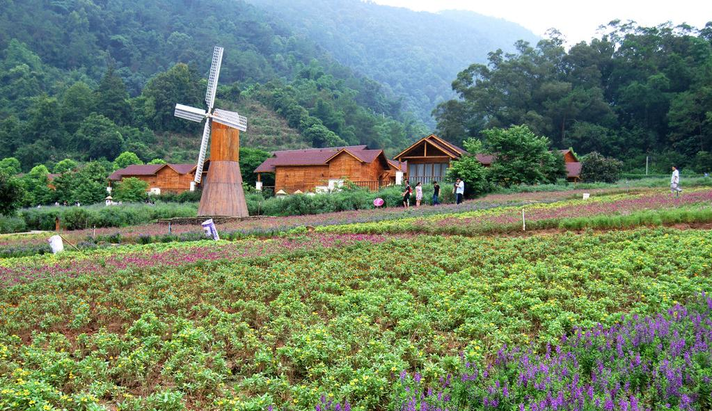 特色小鎮(zhèn)規(guī)劃,旅游小鎮(zhèn)規(guī)劃,農(nóng)業(yè)小鎮(zhèn)規(guī)劃